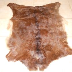 peau de chevre 3 longueur environ 95 cm dans son jus petit brossage a faire