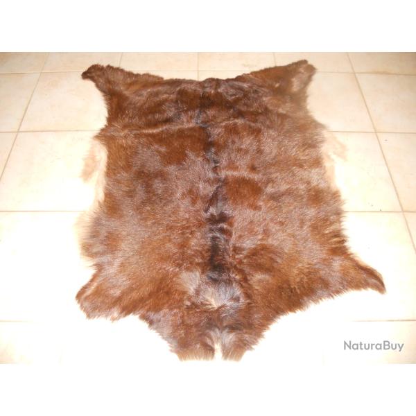 peau de chevre 3 longueur environ 95 cm dans son jus petit brossage a faire