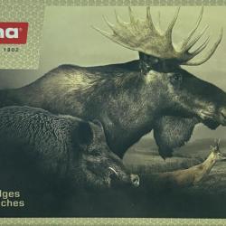 Cartouches NORMA calibre 300WM PPDC 180GR 11.7g x20