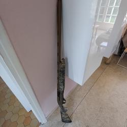 stoeeger v2 peregreen