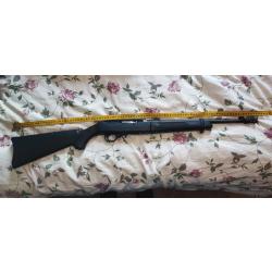 Ruger 10 22 takedown