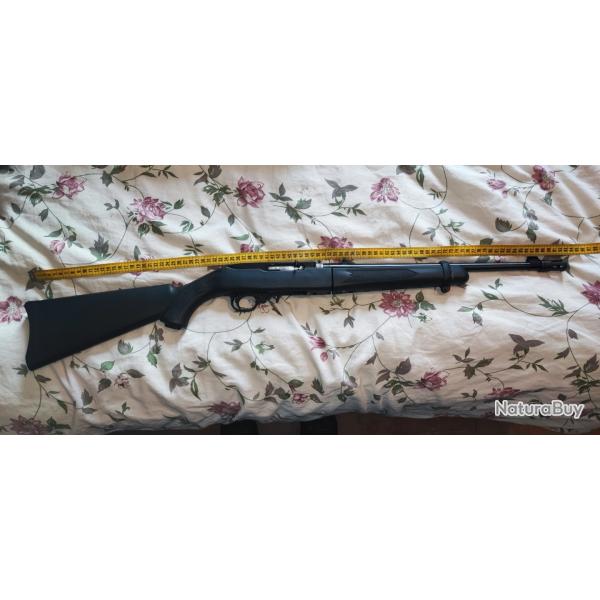 Ruger 10 22 takedown