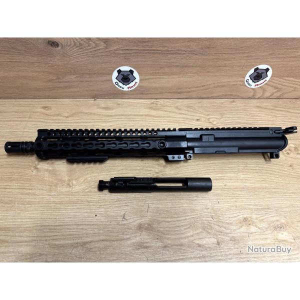 Windham Conversion WW-15 223 Rem OCCASION