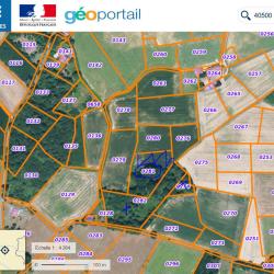Bois feuillus chasse palombe - Landes