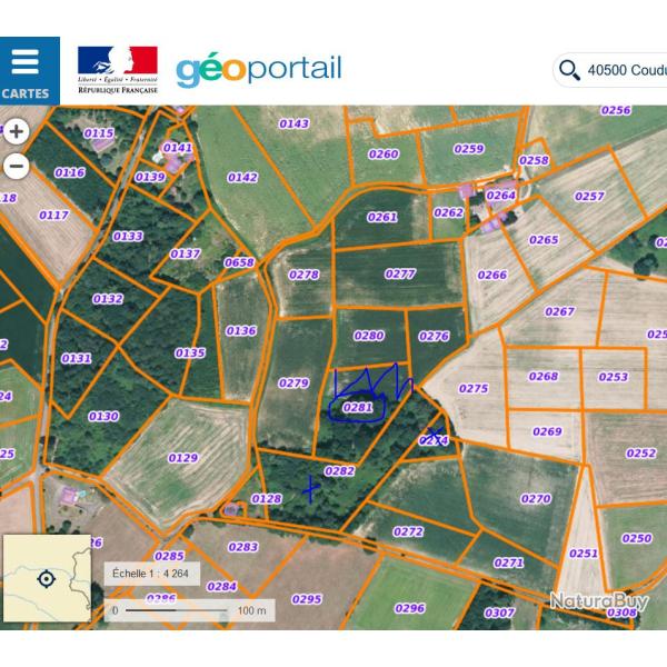 Bois feuillus chasse palombe - Landes