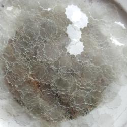 Lot de 100 rondelles plastique " Micas " en calibre 16.