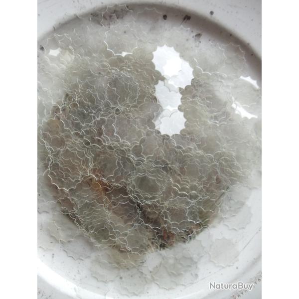 Lot de 100 rondelles plastique " Micas " en calibre 16.