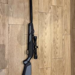 Carabine &Agrave; Air Comprim&eacute; Gamo Igt Viper Pro 10X 20 joules