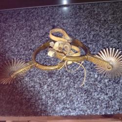 Gros &eacute;perons d'Am&eacute;rique du sud