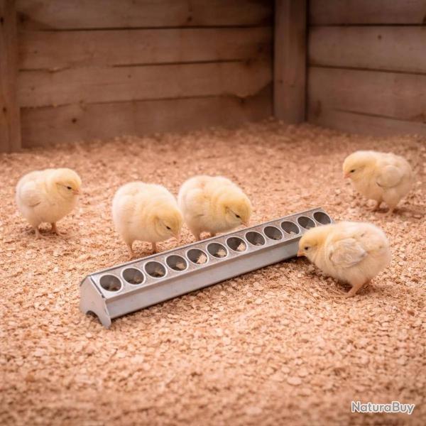 Mangeoire m�tal galvanis� poussins 50 cm � trous
