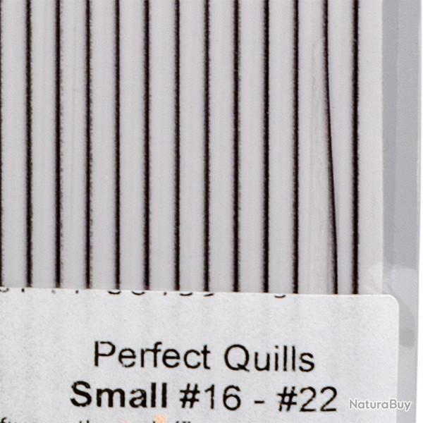 Perfect quills transparent petit