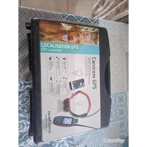 collier gps et dressage