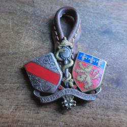 insigne &eacute;mail  &eacute;cole de sant&eacute; / drago