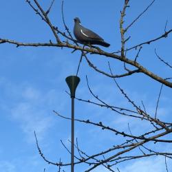 Entonnoir &agrave; blettage - accessoire pour m&acirc;t