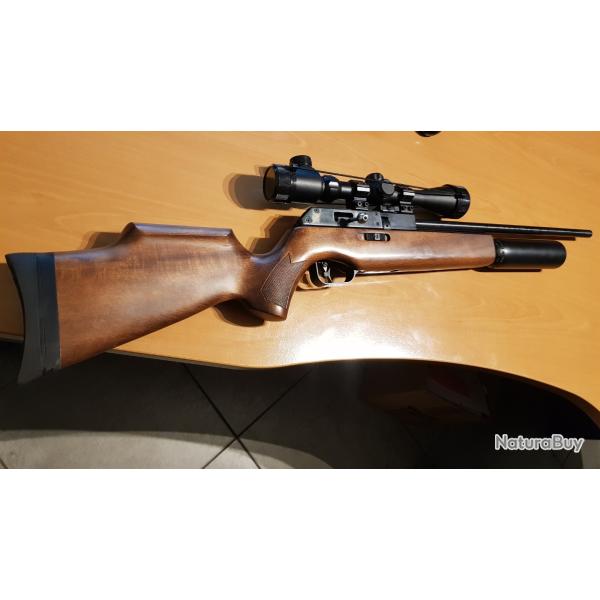 Splendide carabine PCP BSA SUPER TEN 10 coups