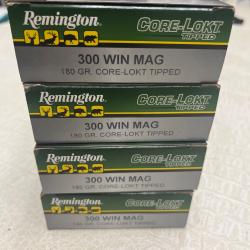 Munitions 300wm remington