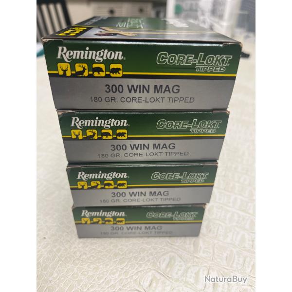 Munitions 300wm remington