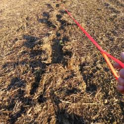 Action de chasse gros gibier