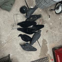 Form&eacute; &agrave; corbeau + 2 man&egrave;ge &agrave; corbeau