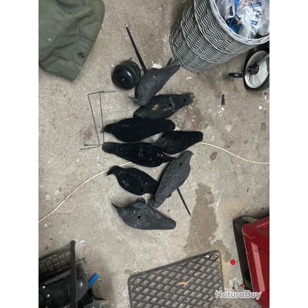 Form� � corbeau + 2 man�ge � corbeau