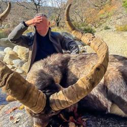 IBEX DE GREDOS / Espagne.