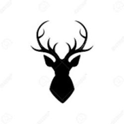 25 SPARCLETTES CO2  12 GRAMMES   PRODUIT DEFENSE LE PLUS VENDU EN EUROPE 25%MOINS CHER