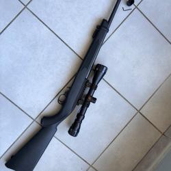 Carabine ruger 10/22 22 lr newport