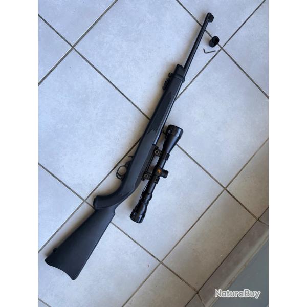 Carabine ruger 10/22 22 lr newport