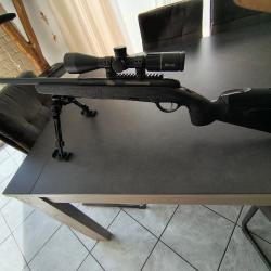 Mannlicher tir precision