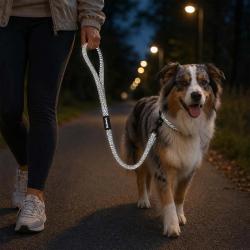 Laisse pour chien avec poign&eacute;e r&eacute;fl&eacute;chissante - Gris 100 cm