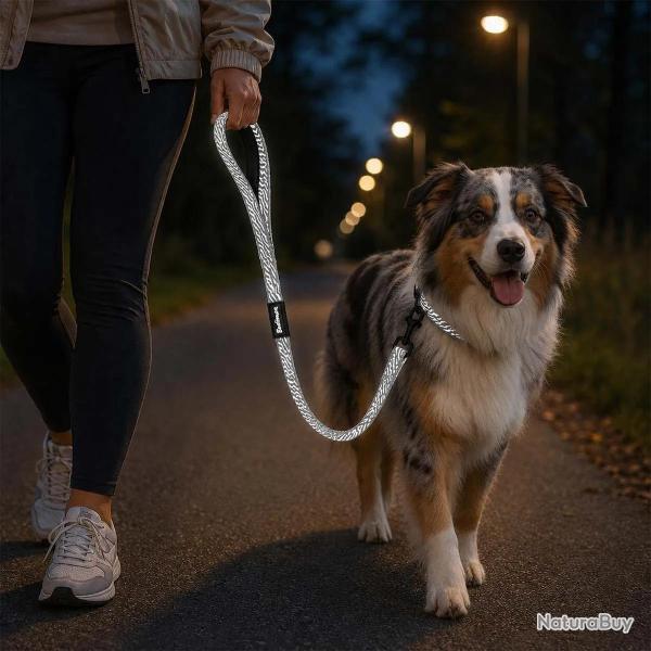 Laisse pour chien avec poign�e r�fl�chissante - Gris 100 cm