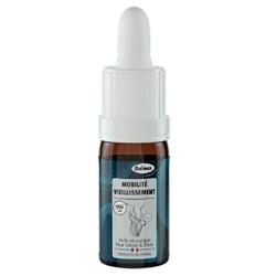 Huile de Microalgue 10ml pour Chien - Soutien Articulaire et Mobilit&eacute;