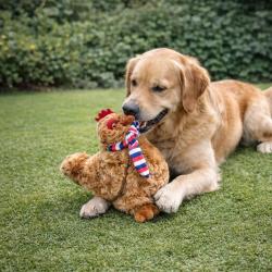 Jouet pour chien en forme de poule avec &eacute;charpe - Gris ou Marron