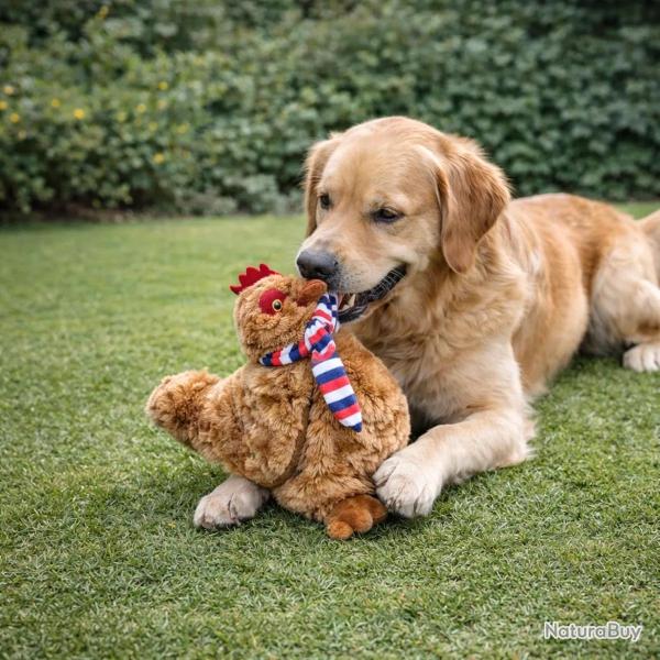 Jouet pour chien en forme de poule avec �charpe - Gris ou Marron