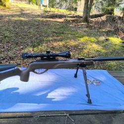 Pack Carabine Gamo HPA Mi jungle 4.5mm 19.9joules