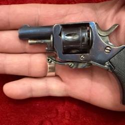 Tr&egrave;s beau et petit Bulldog PUPPY, calibre 22 short percussion centrale