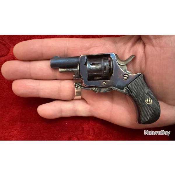 Tr�s beau et petit Bulldog PUPPY, calibre 22 short percussion centrale