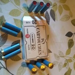 Bo&icirc;te de cartouches a broche Cal 20 xa