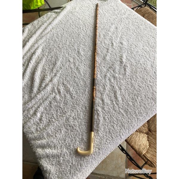 canne �p�e en bambou