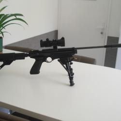 Crosman 2250 Ratcatcher