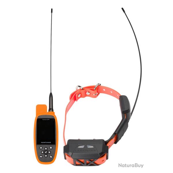 Collier De Dressage Num'Axes GPS MINI + T�l�commande �ducation