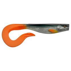 Leurre souple ILLEX Dexter eel 280 Bright rudd