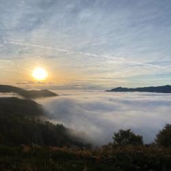 CARNET DE BATTUE SANGLIER DISPONIBLE SUR 1200HA  - PLATEAU ARDECHOIS