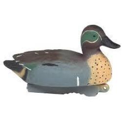 Appelant sarcelle male