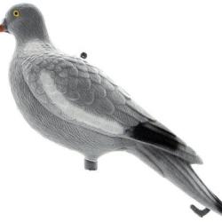 Appelant pigeon velours