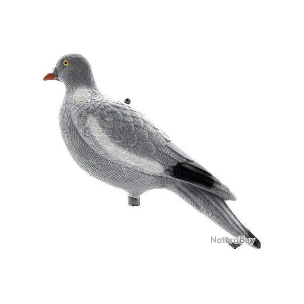 Appelant pigeon velours