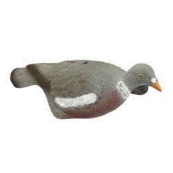 Appelant pigeon anglais