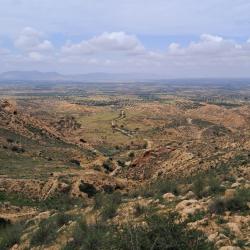 S&eacute;jour De chasse en Tunisie 5jrs