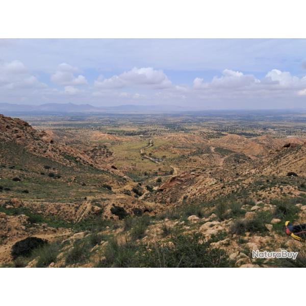 S�jour De chasse en Tunisie 5jrs