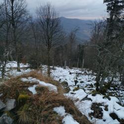 Parts de chasse Alsace